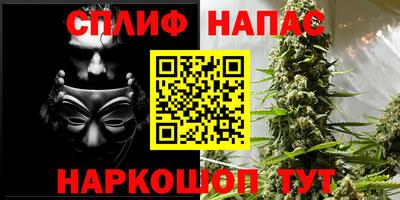прущие грибы Коммунар