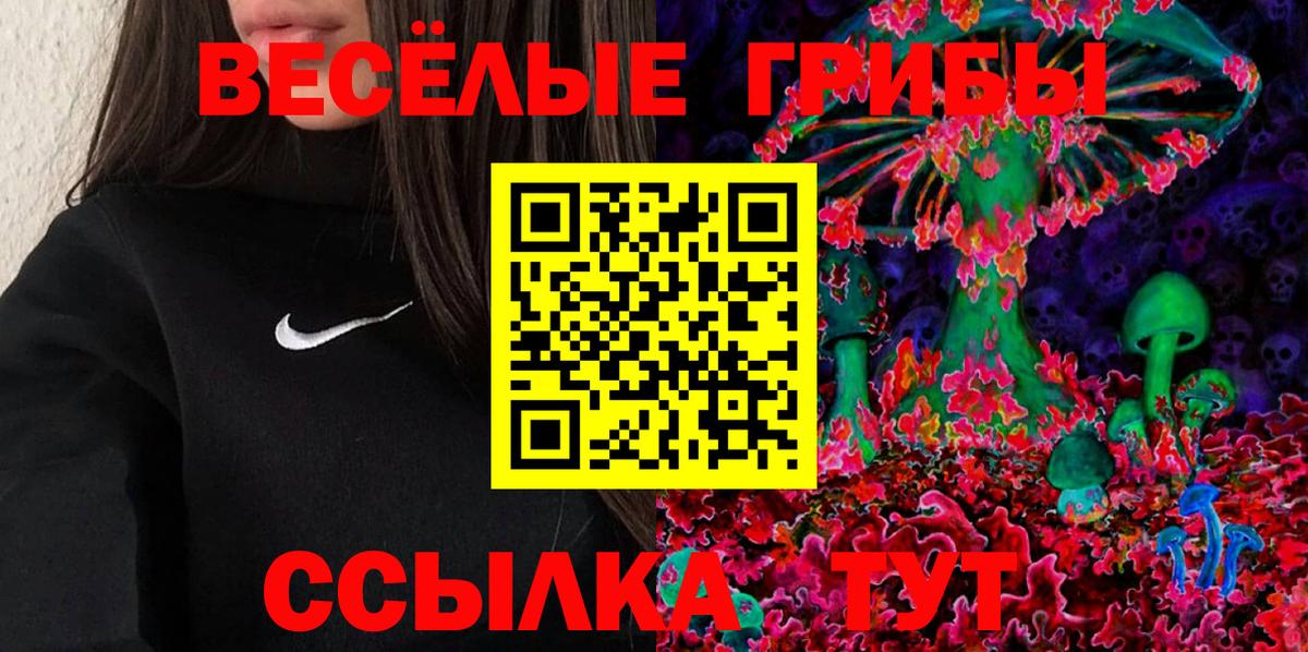 Карабулак  Галлюциногенные грибы Psilocybe  Вход с VPN 