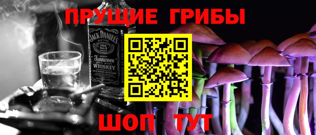 Галлюциногенные грибы Psilocybine cubensis Карабулак